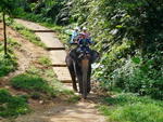 Elefantentrekking in Pang Nga Asia Safari Park Elefantenritt (TH).